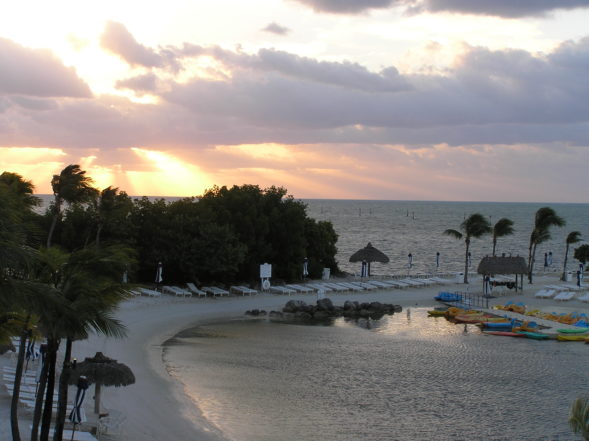 ocean reef yacht club key largo photos