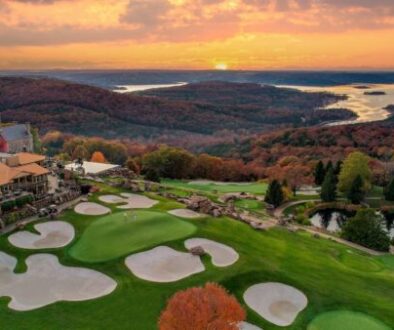 BigCedaraerial